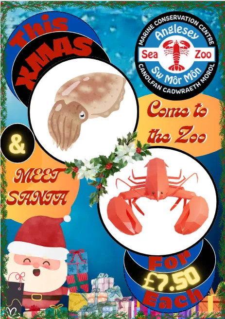 Plan Your School’s Magical Trip to Anglesey Sea Zoo with Alpine