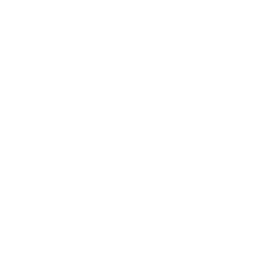 Alpine Travel Coaches